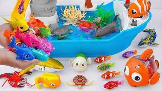 Thumbnail: [🐠Toy asmr🐠] Nimo & Baby Shark & Ray & Aquarium Playset &RC Shark ASMR Satisfying with Unboxing
