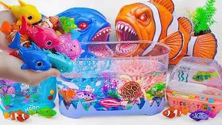 Thumbnail: Satisfied unboxing aquarium mysterious nimo fish box octopus box toy set ASMR | Toy evaluation
