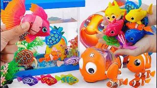 Thumbnail: ASMR Satisfying Unboxing Nemo Fish Underwater Aquarium Collection Robo Alive Toys 🐠🌊 Aqua Toys ASMR