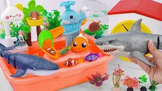 Thumbnail: [🐠Toy asmr🐠] Shark RC & RC Whale & Baby Shark & Nimo Fish & Aquarium ASMR Satisfying with Unboxing