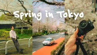 Thumbnail: Calm Tokyo Street Photography - Lumix GX80