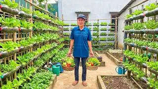 Thumbnail: Space-Saving Vegetable Garden Made from Recycled Plastic Bottles