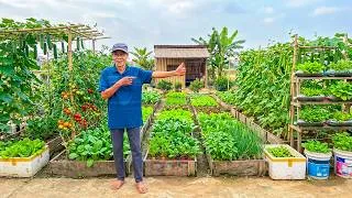 Thumbnail: I Created a Productive Garden with a Beautiful, Practical Design