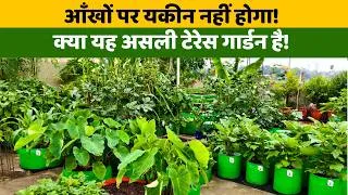 Thumbnail: यकीन नहीं होगा — यह असली गार्डन है! | आँखों को सुकून देने वाला गार्डन टूर | Relaxing Garden Tour