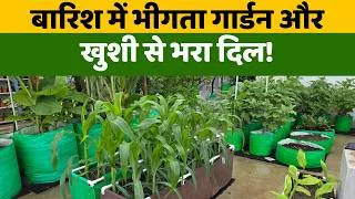 Thumbnail: बारिश में बगीचे की सैर! देखो बारिश में कितना सुंदर लग रहा है मेरा गार्डन | Garden Tour in the Rain