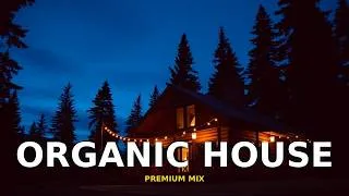 Thumbnail: Healing Melodies - Organic House from Rejuvenating Spaces