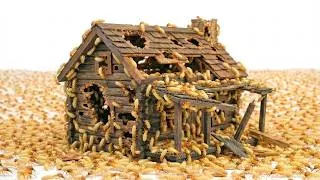 Thumbnail: 1,000 Termites vs. House