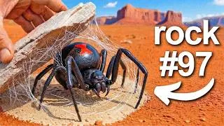 Thumbnail: I Flipped 100 Rocks in Australia, Here's What I Found...