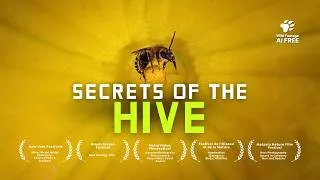 Thumbnail: The Forgotten Pollinators - Why Wild Bees might save the Planet | 4K Nature Documentary