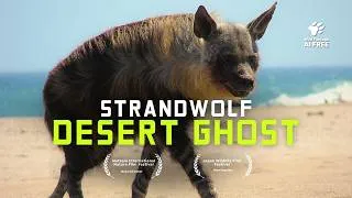 Thumbnail: Tracking Namibia's Most Elusive Hunter - the Strandwolf | 4K Nature Documentary