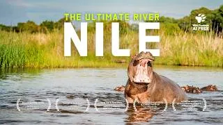 Thumbnail: The Nile River’s Journey Across Africa | MEGA EPISODE | 4K Nature Documentary
