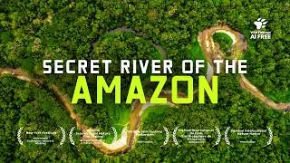 Thumbnail: Brazil’s Secret River bigger than the Amazon | 4K Nature Documentary