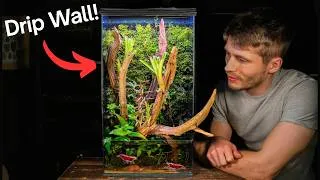 Thumbnail: The Drip Wall Cherry Shrimp Paludarium