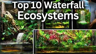Thumbnail: My Top 10 Waterfall Ecosystem Builds!