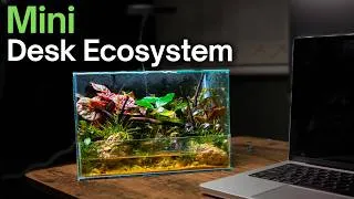 Thumbnail: I Built a Mini Paludarium Ecosystem For My Desk, Here’s How!