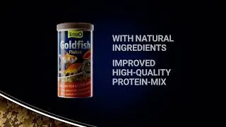 Thumbnail: GoldFish 6sec UK 169 V2