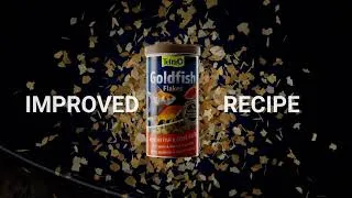 Thumbnail: GoldFish 15sec UK 169 V1