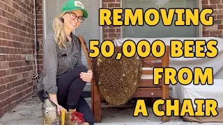 Thumbnail: I Removed 50,000 Bees from a Chair
