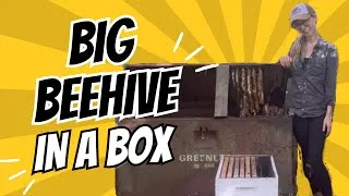 Thumbnail: Big Beehive in a Box