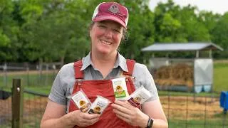 Thumbnail: Dairy Delights | Goat Milk Popsicles