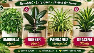 Thumbnail: Shade Loving Plants - Low Maintenance Indoor outdoor plants #youtube 