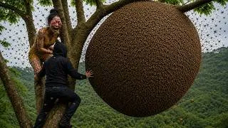 Thumbnail: Facing Thousands of Angry Bees – Traditional Honey Hunting Skills