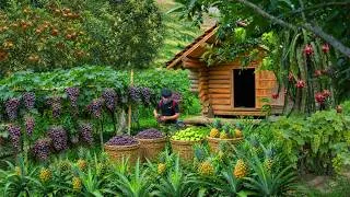 Thumbnail: Living in the forest, gardening, grape harvesting, pineapple, and guava fruit to market sell