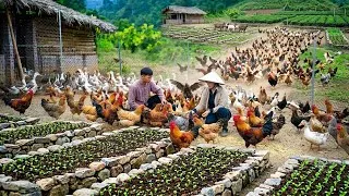 Thumbnail: Torrential Rain Hit Our Farm — A Bamboo Garden, Bamboo Gate & Duck Rescue