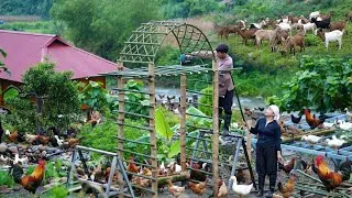 Thumbnail: Barren Soil, Big Harvest: Restoring Land With Straw