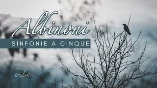 Thumbnail: Albinoni - Sonata a Cinque Op. 2 No. 6 extended (1 hour)