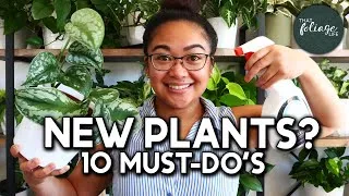 Thumbnail: 10 MUST-do's for your New Plants! | Plant Care 101