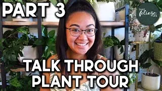 Thumbnail: INDOOR PLANT Collection Tour (Over 100+ Houseplants!) Part 3