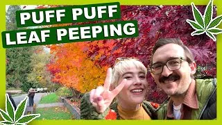 Thumbnail: Fall Leaf Peeping with THCa in Seattle 🍁