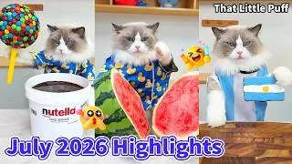 Thumbnail: Puff's Most Creative Videos of July 2026 🐱✨| That Little Puff