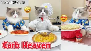 Thumbnail: Puff's Ultimate Carb Feast Compilation🍞🍝🐱  | That Little Puff