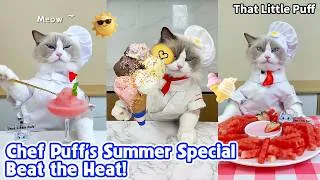 Thumbnail: Chef Puff's Summer Special | Best Summer Recipes to Beat the Heat!  | That Little Puff
