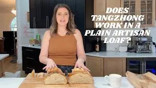 Thumbnail: Does Tangzhong Work in a Plain Artisan Loaf?