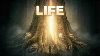Thumbnail: Fall Asleep to the Entire History of Life | Sleep Documentary