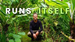 Thumbnail: How I Start a Food Forest That Basically Runs Itself