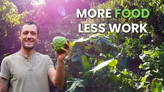 Thumbnail: The Exact Way I Design a Food Forest for Constant Harvests