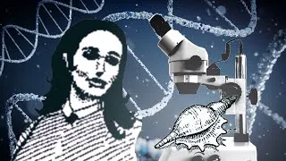 Thumbnail: A "Scientific Analysis" of Return of the Obra Dinn