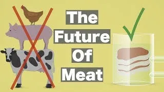 Thumbnail: The Future of Meat