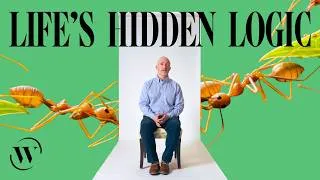 Thumbnail: The living world is forcing scientists to rethink purpose | Alan Love: Full Interview