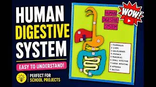 Thumbnail: 3D Digestive System Project: Step-by-Step Guide | Easy Science Fair Project: Digestive System Model