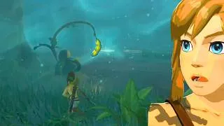 Thumbnail: The Secret in the Lost Woods Almost Everybody Missed