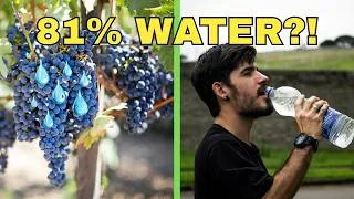 Thumbnail: The Truth About Grapes You Didn’t Know 🍇 (Plus a Refreshing Recipe)