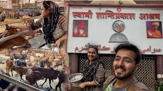Thumbnail: 😱 Mumbai BIGGEST Gaushala! Swami Shanti Prakash Ashram Ulhasnagar 5 | Gau Seva 🐄🙏 Mandir Tour ✨”
