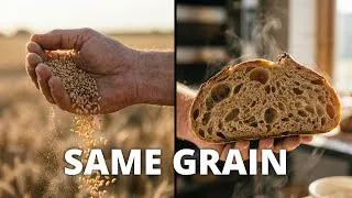 Thumbnail: This Farmer Changed How I Think About Flour