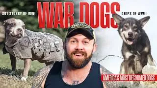 Thumbnail: America's Top Dogs - Sgt. Stubby & Chips