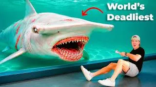 Thumbnail: Buying Every Dangerous Fish Nobody Should Ever Own...